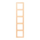 Jung - Cadre 5 postes  / LS 990 LC 32060