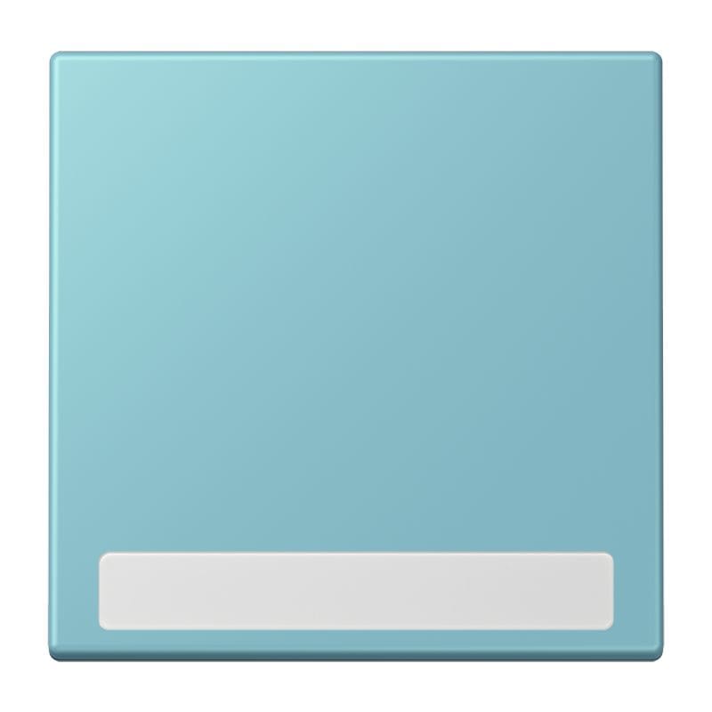 Jung - Enjo simple touche porte étiquette / LS 990 LC 32032