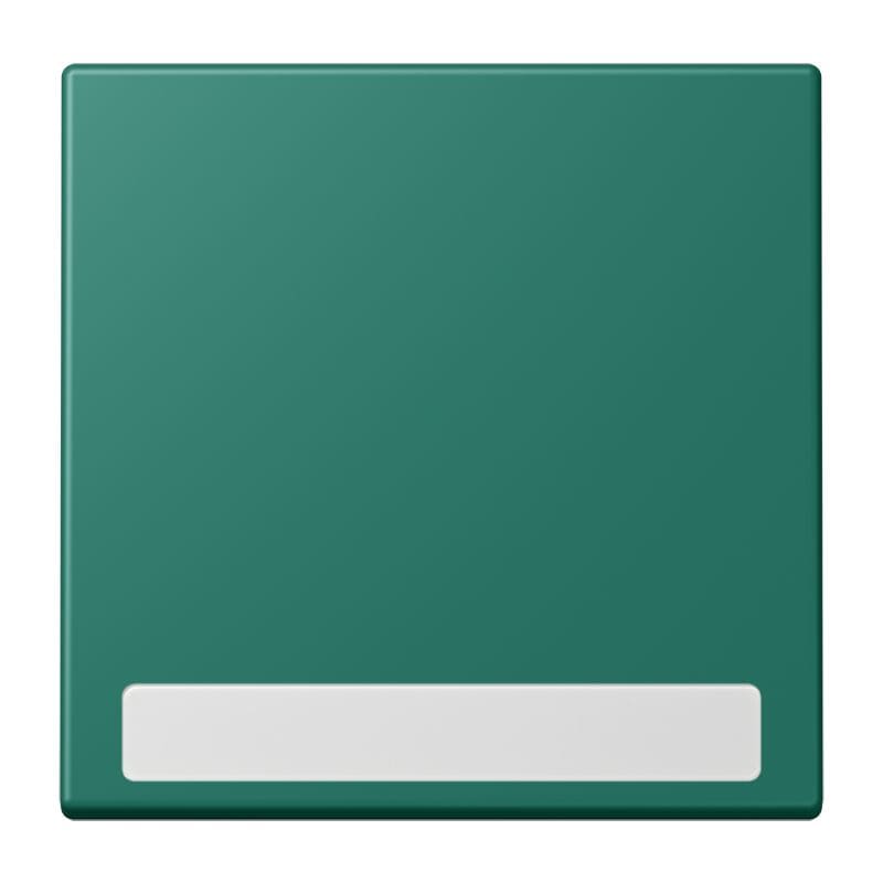 Jung - Enjo simple touche porte étiquette / LS 990 LC 32040