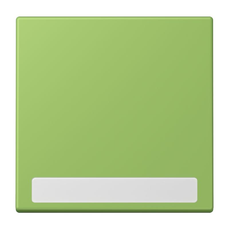 Jung - Enjo simple touche porte étiquette / LS 990 LC 32051