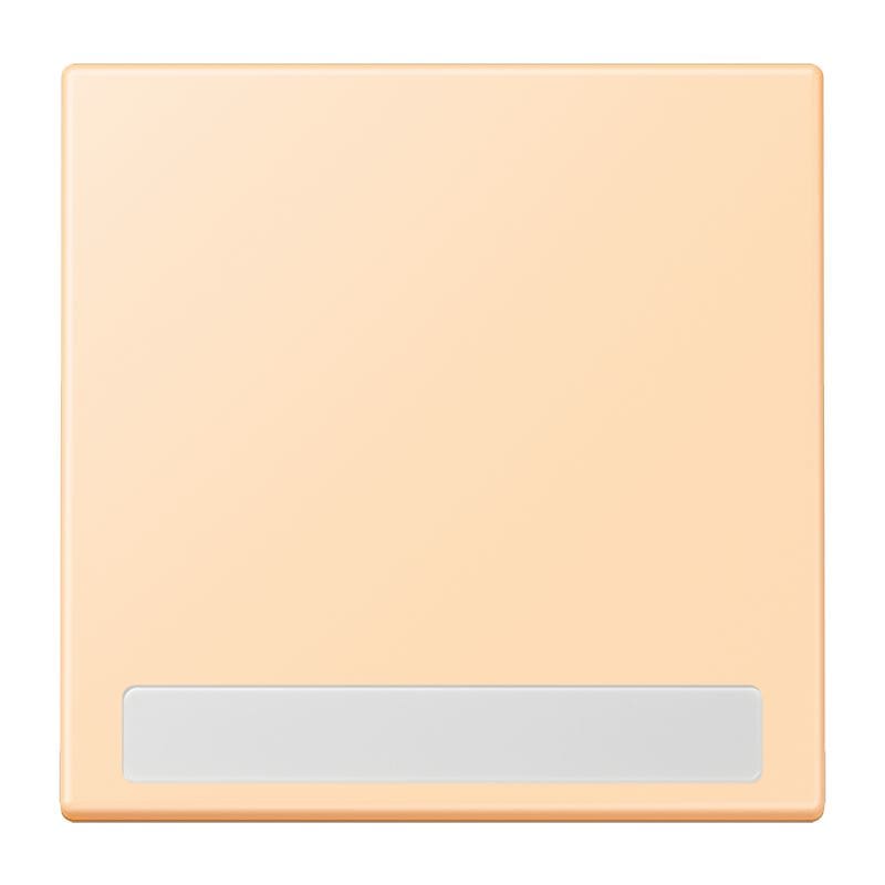 Jung - Enjo simple touche porte étiquette / LS 990 LC 32060