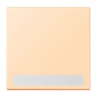 Jung - Enjo simple touche porte étiquette / LS 990 LC 32060