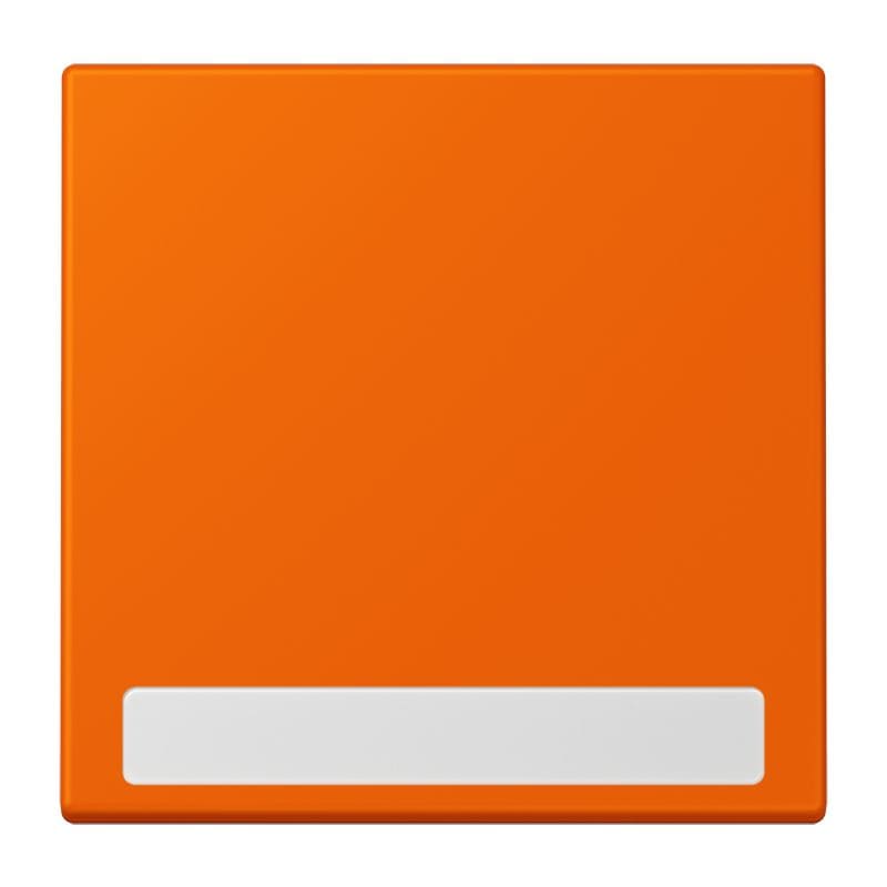 Jung - Enjo simple touche porte étiquette / LS 990 LC 32080