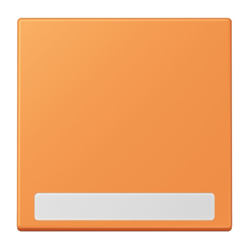 Jung - Enjo simple touche porte étiquette / LS 990 LC 32081