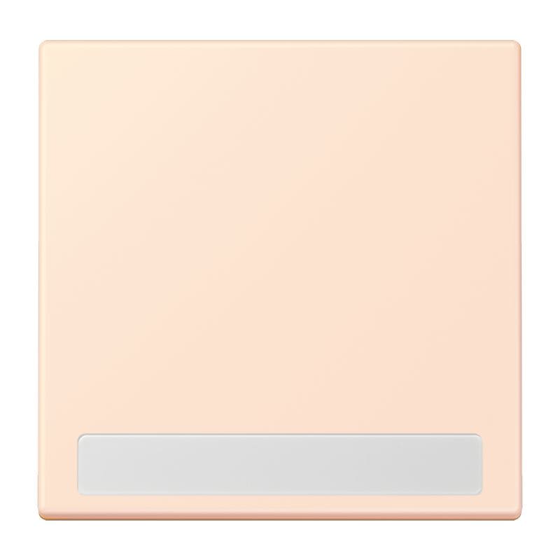 Jung - Enjo simple touche porte étiquette / LS 990 LC 32082