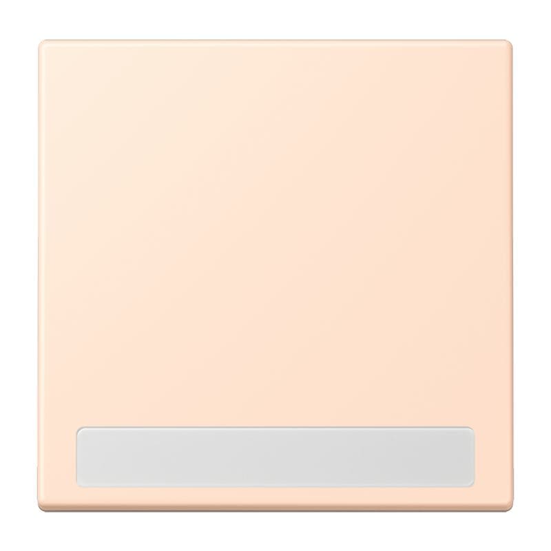 Jung - Enjo simple touche porte étiquette / LS 990 LC 32091