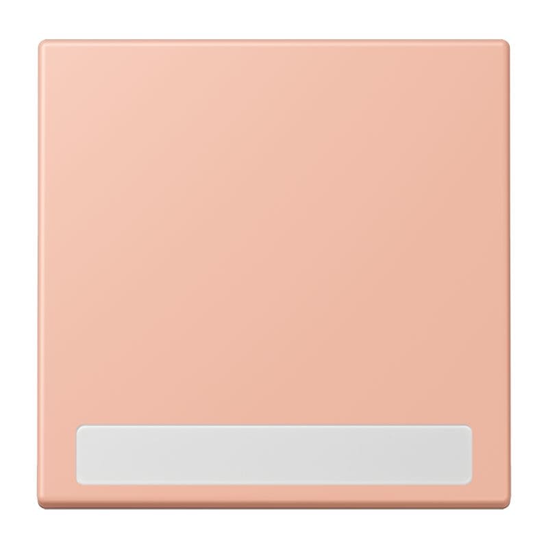 Jung - Enjo simple touche porte étiquette / LS 990 LC 32102