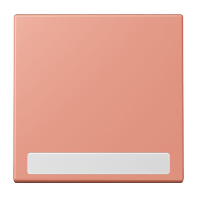Jung - Enjo simple touche porte étiquette / LS 990 LC 32111
