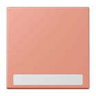 Jung - Enjo simple touche porte étiquette / LS 990 LC 32111