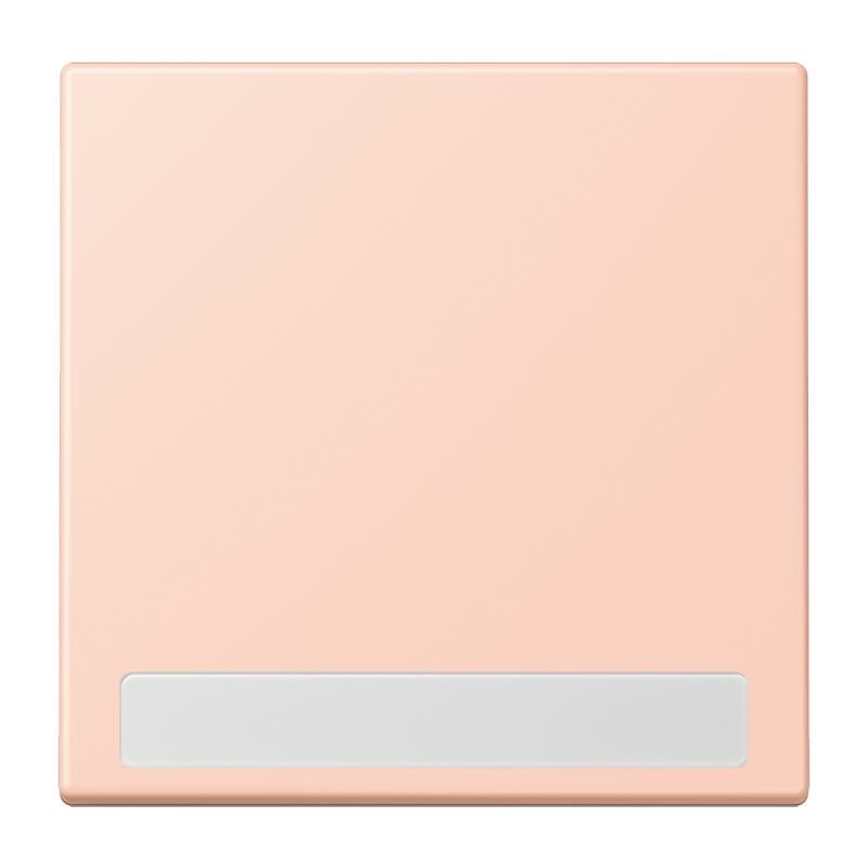 Jung - Enjo simple touche porte étiquette / LS 990 LC 32114