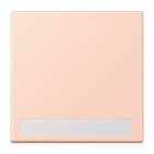 Jung - Enjo simple touche porte étiquette / LS 990 LC 32114