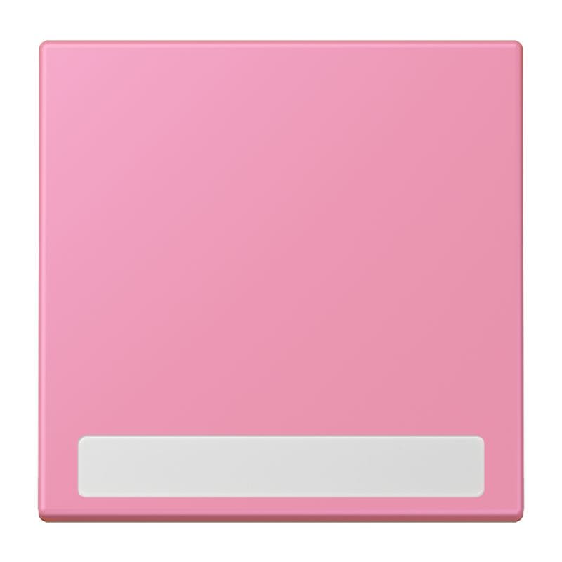 Jung - Enjo simple touche porte étiquette / LS 990 LC 4320C