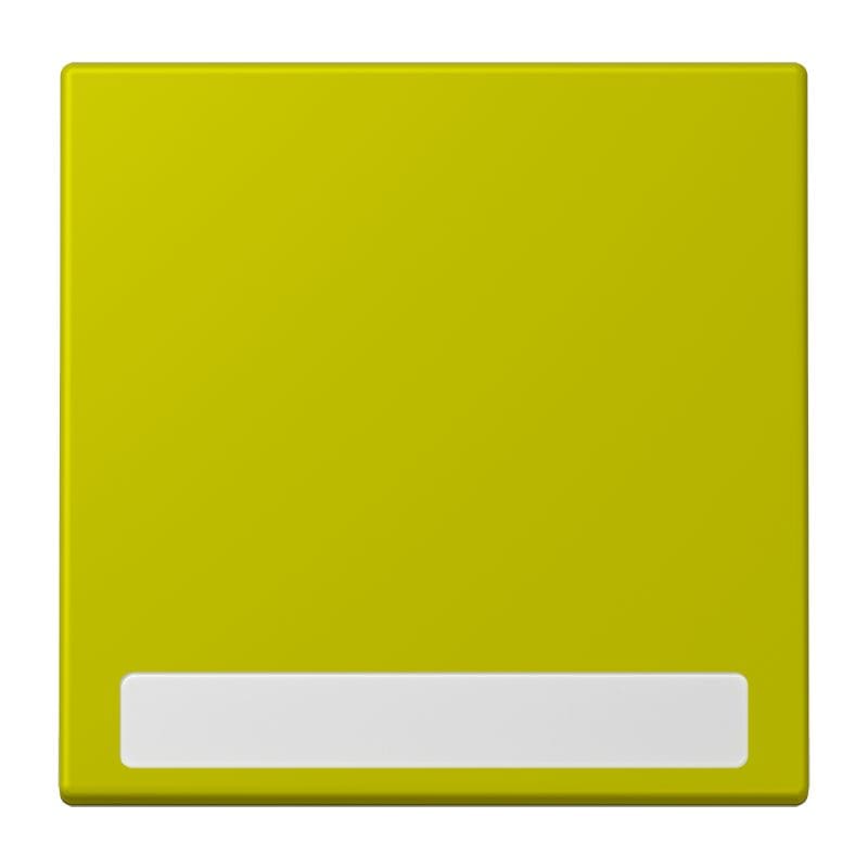 Jung - Enjo simple touche porte étiquette / LS 990 LC 4320F