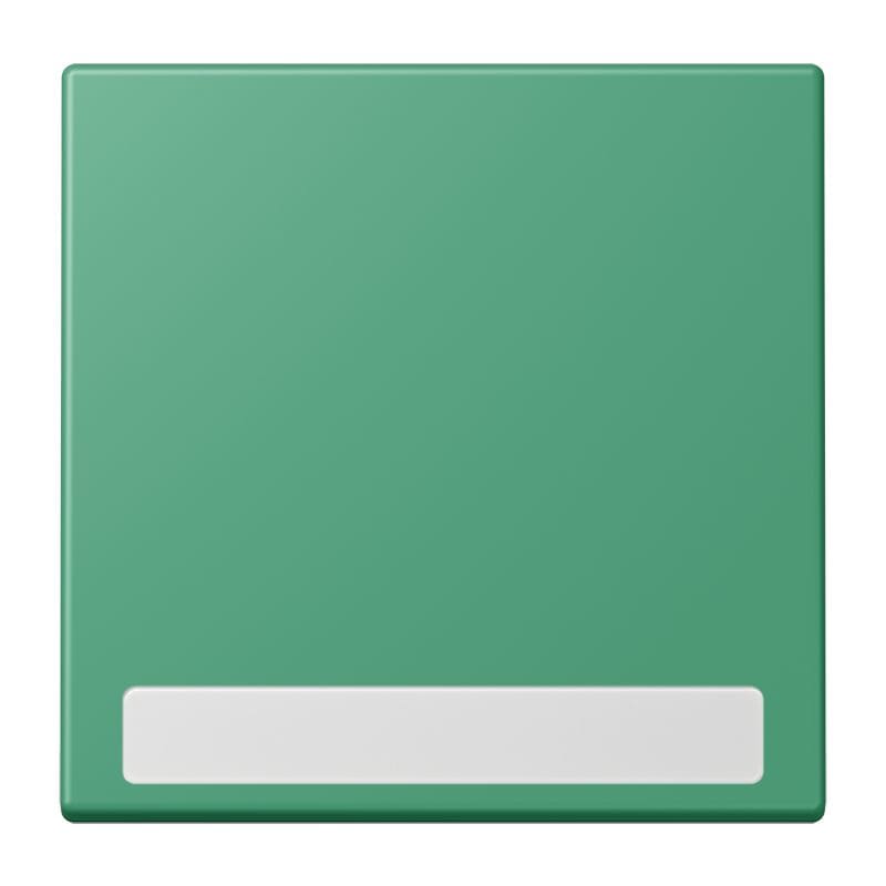 Jung - Enjo simple touche porte étiquette / LS 990 LC 4320G