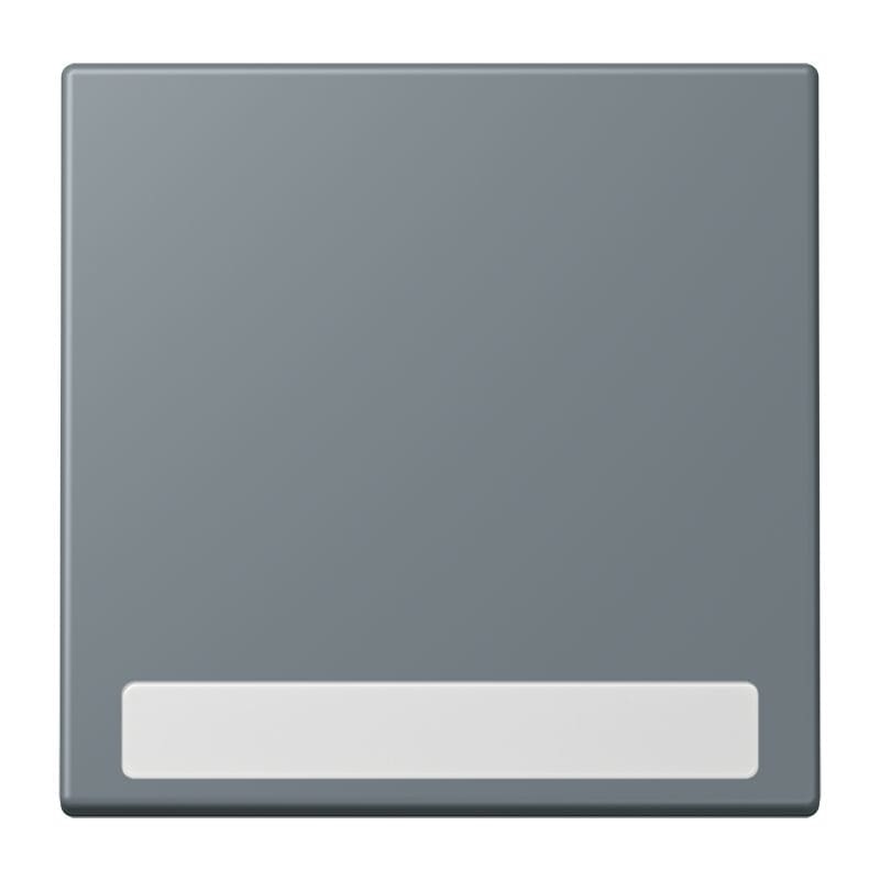 Jung - Enjo simple touche porte étiquette / LS 990 LC 4320H