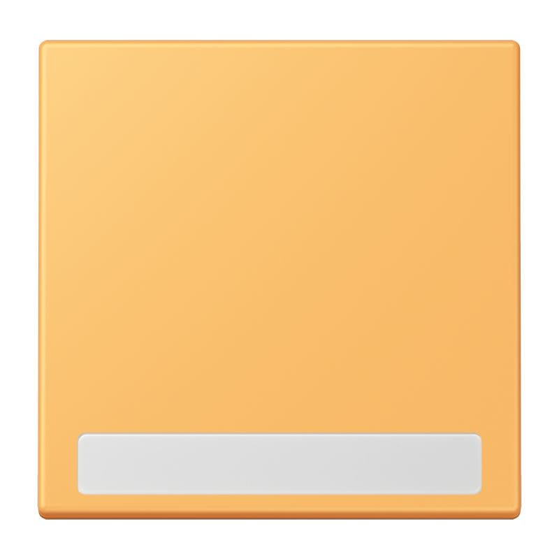 Jung - Enjo simple touche porte étiquette / LS 990 LC 4320L