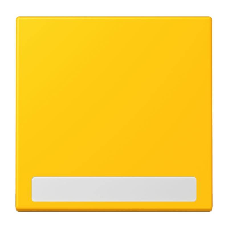 Jung - Enjo simple touche porte étiquette / LS 990 LC 4320W