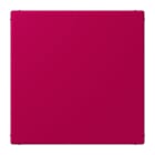 Jung - Enjoliveur obturateur avec support de fixation / LS 990 LC 32101