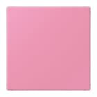 Jung - Enjoliveur obturateur avec support de fixation / LS 990 LC 4320C