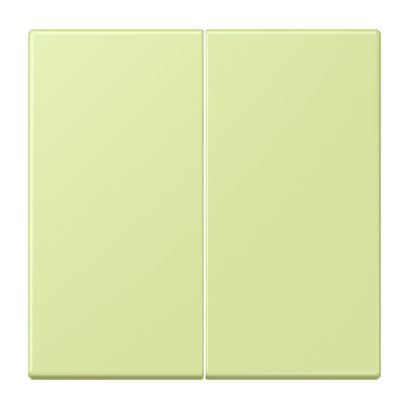 Jung - Enjoliveur double touche avec support de fixation / LS 990 LC 32053