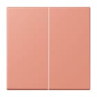 Jung - Enjoliveur double touche avec support de fixation / LS 990 LC 32111