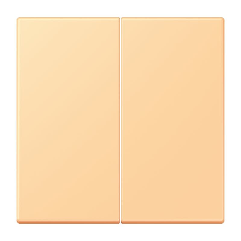 Jung - Enjoliveur double touche avec support de fixation / LS 990 LC 4320P