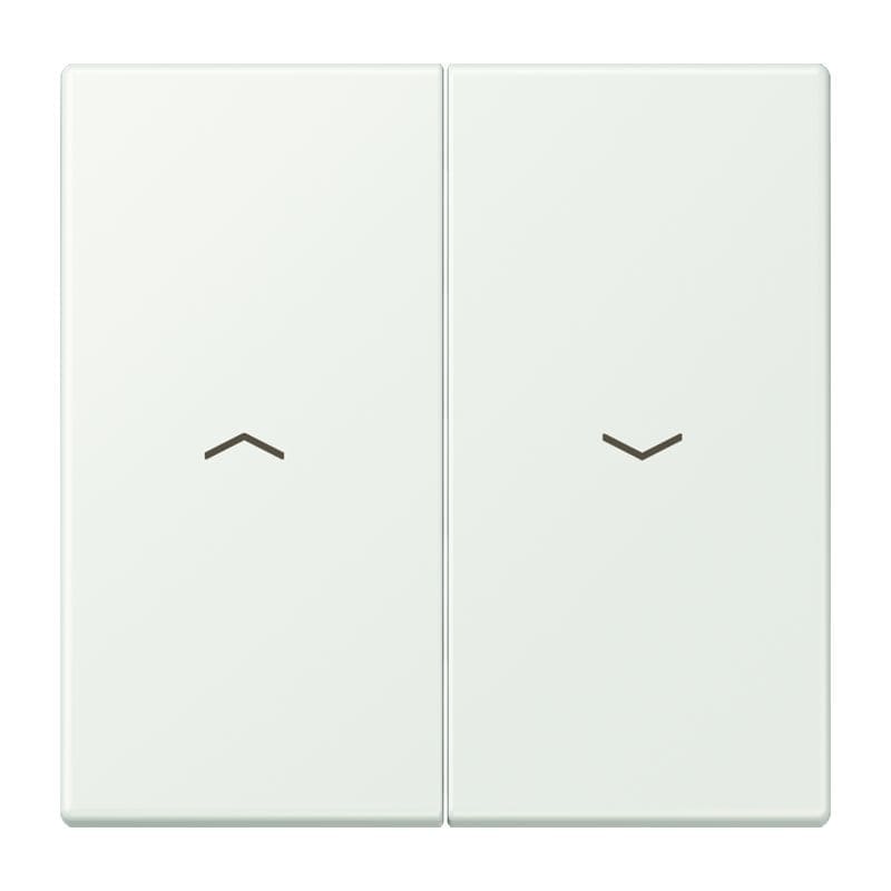 Jung - Enjoliveur double touche IN+BP VR-store / LS 990 LC 32024