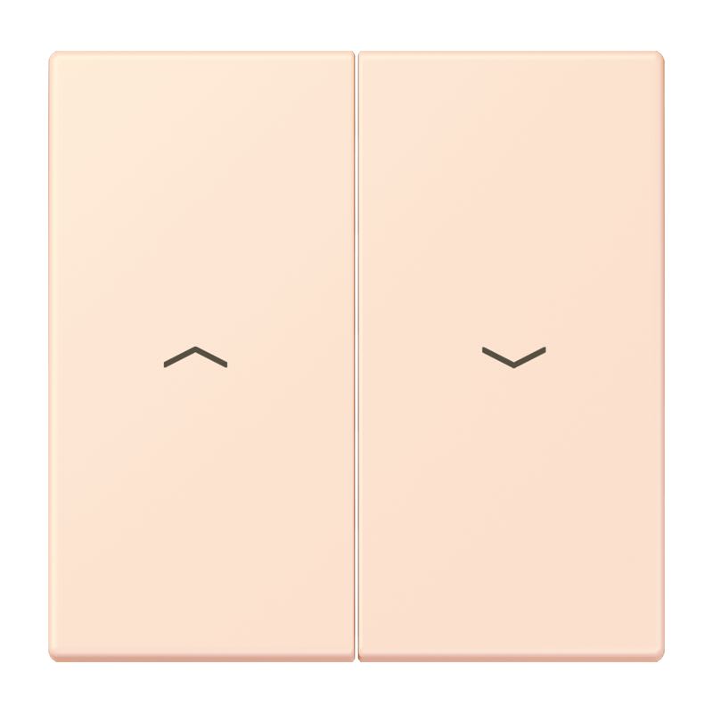 Jung - Enjoliveur double touche IN+BP VR-store / LS 990 LC 32082