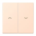 Jung - Enjoliveur double touche IN+BP VR-store / LS 990 LC 32091