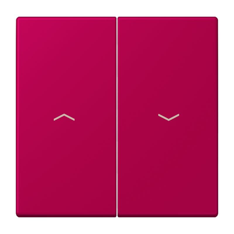 Jung - Enjoliveur double touche IN+BP VR-store / LS 990 LC 32101