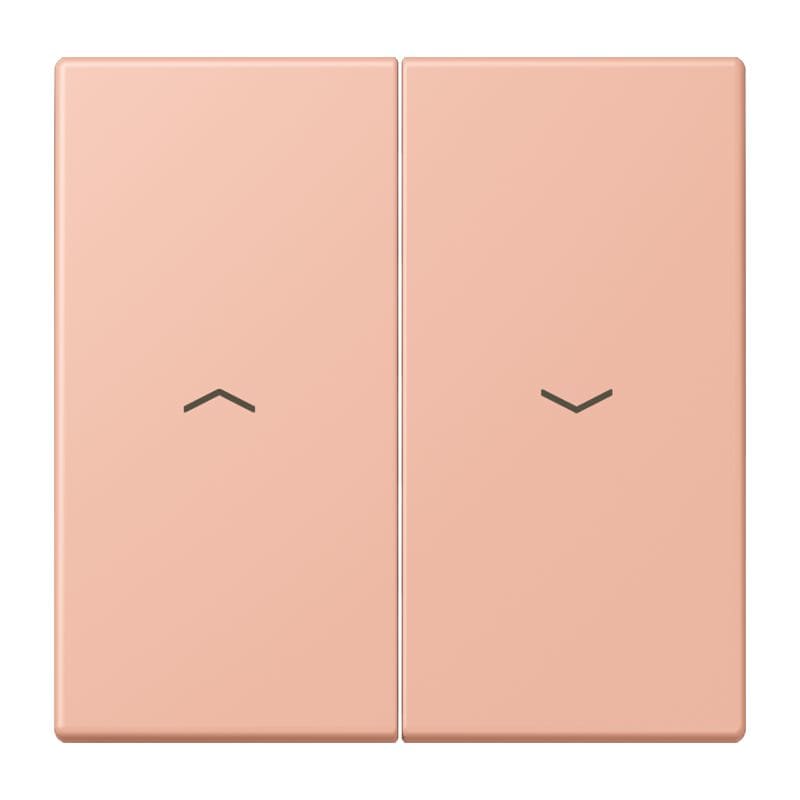 Jung - Enjoliveur double touche IN+BP VR-store / LS 990 LC 32102