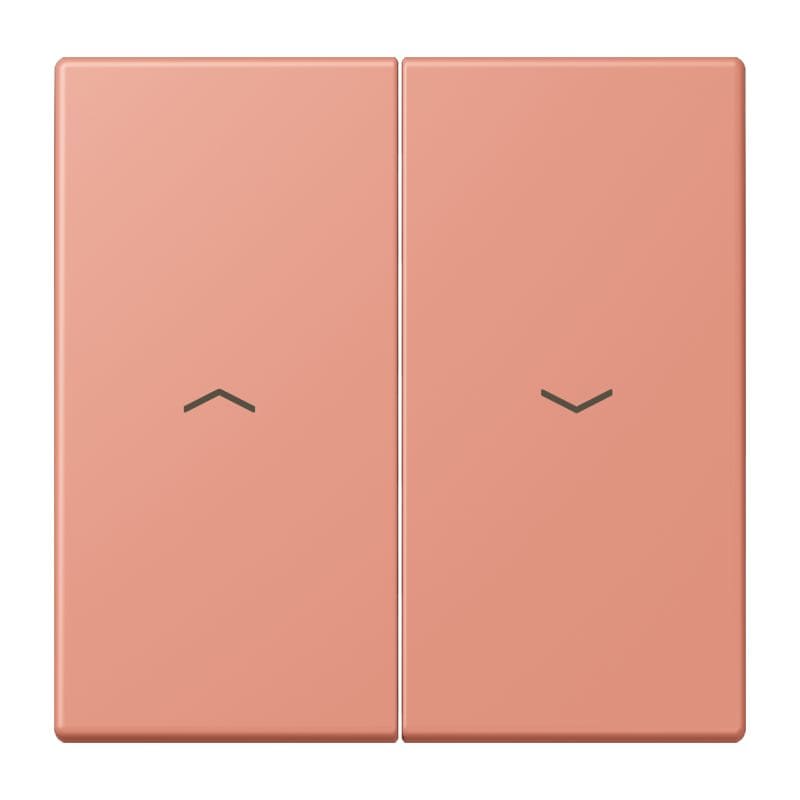 Jung - Enjoliveur double touche IN+BP VR-store / LS 990 LC 32111