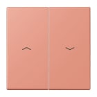 Jung - Enjoliveur double touche IN+BP VR-store / LS 990 LC 32111