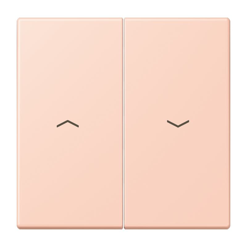 Jung - Enjoliveur double touche IN+BP VR-store / LS 990 LC 32114