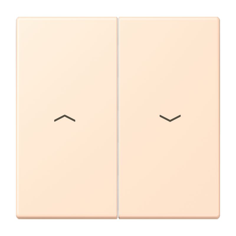 Jung - Enjoliveur double touche IN+BP VR-store / LS 990 LC 32123