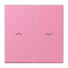 Jung - Enjoliveur double touche IN+BP VR-store / LS 990 LC 4320C