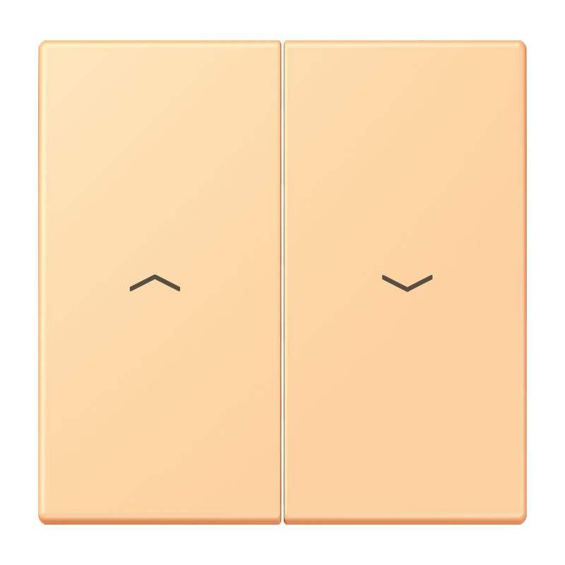 Jung - Enjoliveur double touche IN+BP VR-store / LS 990 LC 4320P