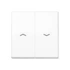 Jung - Enjoliveur double touche IN+BP VR-store / AS SP Blanc