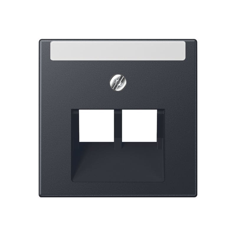 Jung - Enjoliveur pour double prise IAE/UAE avec PE / A 500 Anthracite