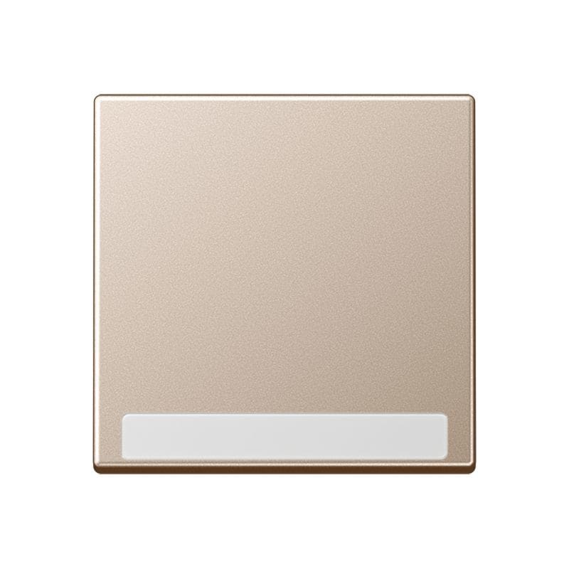 Jung - Enjoliveur simple touche avec PE / Série A 500 Champagne