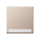 Jung - Enjoliveur simple touche avec PE / Série A 500 Champagne