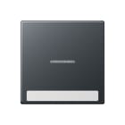 Jung - Enjoliveur simple touche à voyant et PE / Série A 500 Anthracite