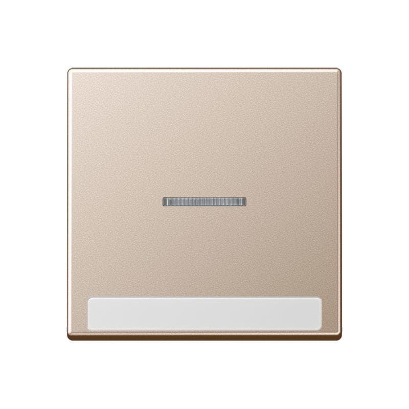 Jung - Enjoliveur simple touche à voyant et PE / Série A 500 Champagne