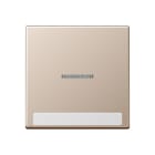 Jung - Enjoliveur simple touche à voyant et PE / Série A 500 Champagne