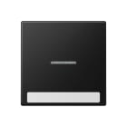 Jung - Enjoliveur simple touche à voyant et PE / Série A 500 Noir Mat