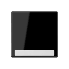 Jung - Enjoliveur simple touche avec PE / Série A 500 Noir