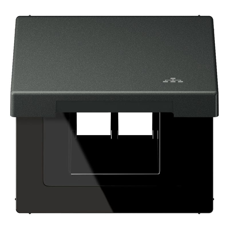 Jung - Enjoliveur couvercle symbole LAN / LS 990 Titane Anthracite