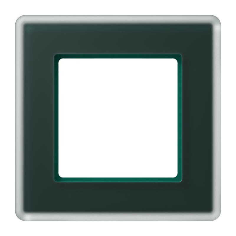 Jung - Cadre de finition 1 poste / AVIVA Verre satiné Vert émeraude