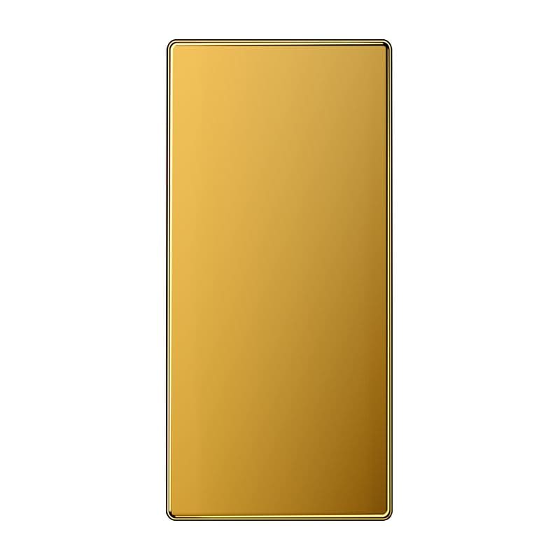 Jung - Enjoliveur transparent platine F50  / LS 990 Or