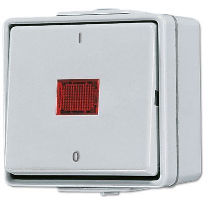 Jung - Interrupteur à témoin 10 AX 250 V ~ / WG 600 Gris